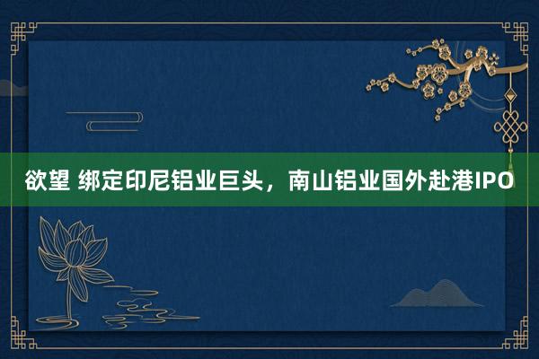 欲望 绑定印尼铝业巨头，南山铝业国外赴港IPO