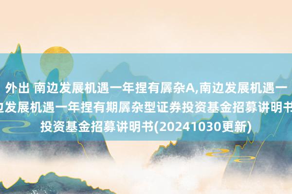 外出 南边发展机遇一年捏有羼杂A,南边发展机遇一年捏有羼杂C: 南边发展机遇一年捏有期羼杂型证券投资基金招募讲明书(20241030更新)