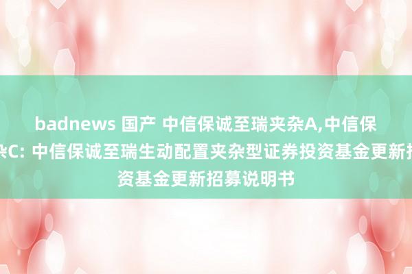 badnews 国产 中信保诚至瑞夹杂A,中信保诚至瑞夹杂C: 中信保诚至瑞生动配置夹杂型证券投资基金更新招募说明书