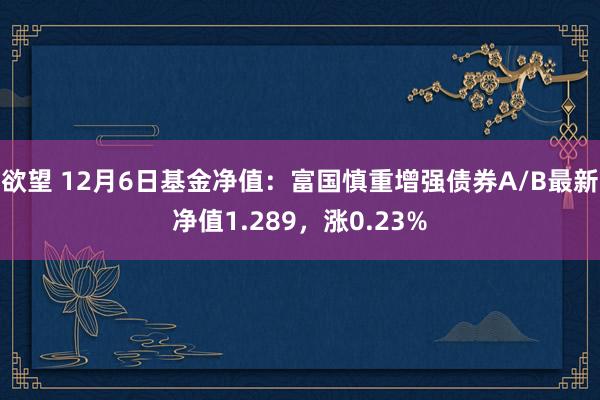 欲望 12月6日基金净值：富国慎重增强债券A/B最新净值1.289，涨0.23%