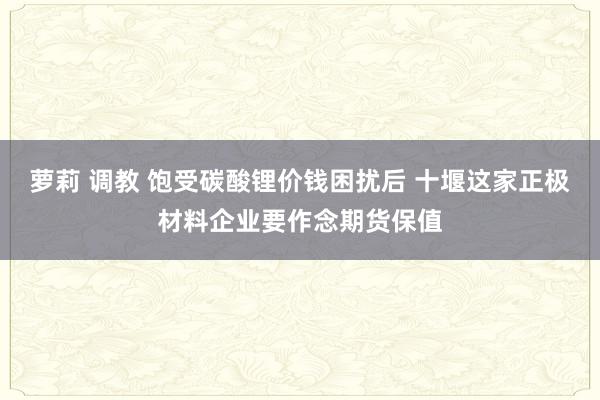 萝莉 调教 饱受碳酸锂价钱困扰后 十堰这家正极材料企业要作念期货保值