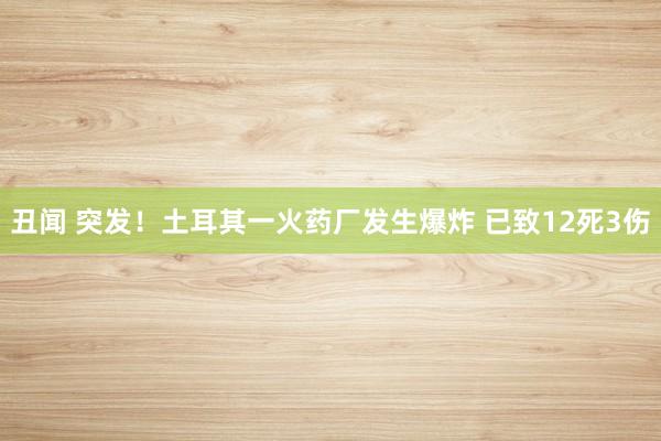 丑闻 突发！土耳其一火药厂发生爆炸 已致12死3伤