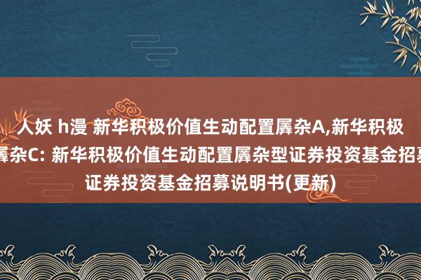 人妖 h漫 新华积极价值生动配置羼杂A，新华积极价值生动配置羼杂C: 新华积极价值生动配置羼杂型证券投资基金招募说明书(更新)