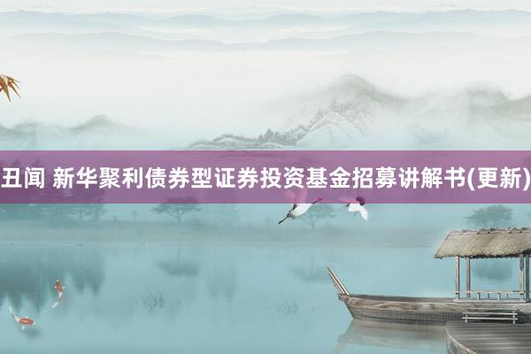 丑闻 新华聚利债券型证券投资基金招募讲解书(更新)