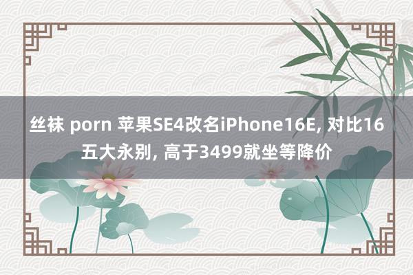 丝袜 porn 苹果SE4改名iPhone16E， 对比16五大永别， 高于3499就坐等降价