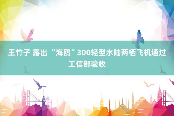 王竹子 露出 “海鸥”300轻型水陆两栖飞机通过工信部验收