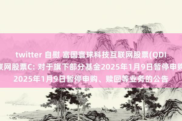 twitter 自慰 富国寰球科技互联网股票(QDII)A,富国寰球科技互联网股票C: 对于旗下部分基金2025年1月9日暂停申购、赎回等业务的公告