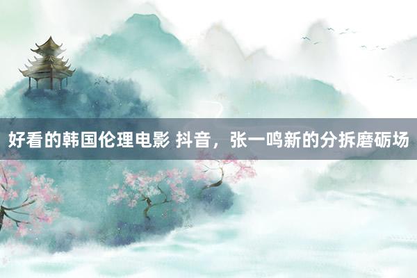 好看的韩国伦理电影 抖音，张一鸣新的分拆磨砺场
