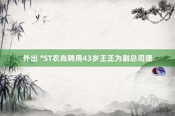 外出 *ST农尚聘用43岁王正为副总司理