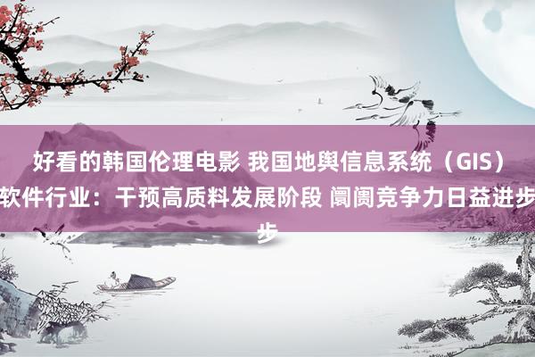 好看的韩国伦理电影 我国地舆信息系统（GIS）软件行业：干预高质料发展阶段 阛阓竞争力日益进步