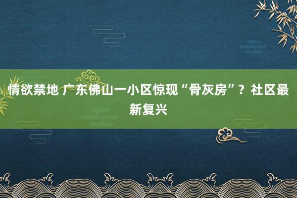 情欲禁地 广东佛山一小区惊现“骨灰房”？社区最新复兴