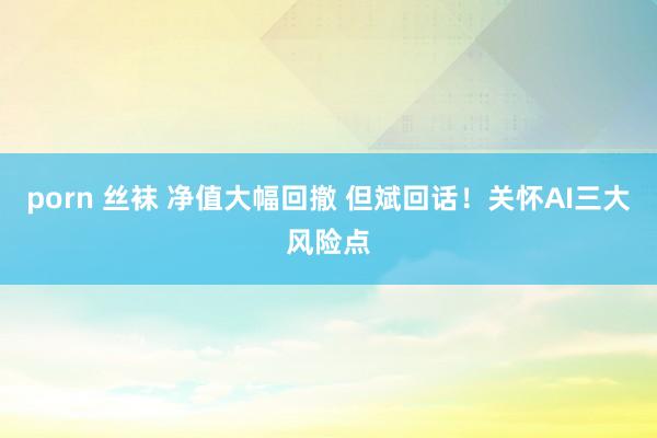 porn 丝袜 净值大幅回撤 但斌回话！关怀AI三大风险点