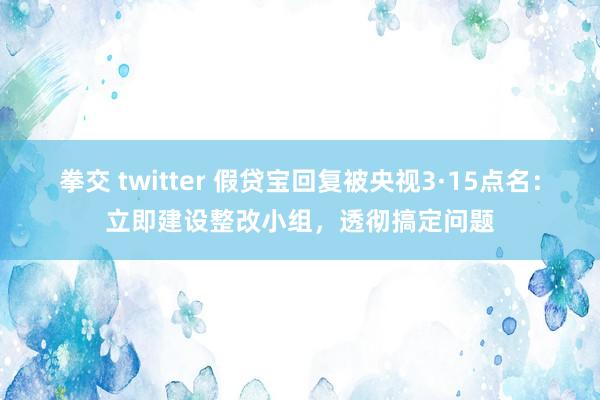 拳交 twitter 假贷宝回复被央视3·15点名：立即建设整改小组，透彻搞定问题