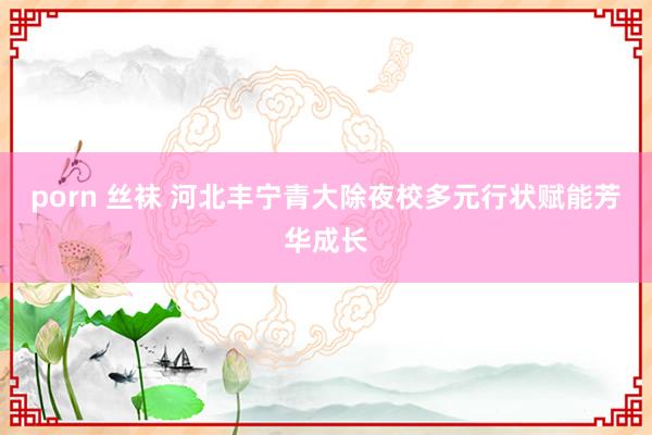 porn 丝袜 河北丰宁青大除夜校多元行状赋能芳华成长
