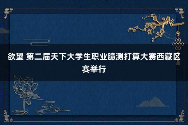 欲望 第二届天下大学生职业臆测打算大赛西藏区赛举行