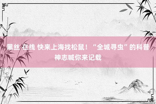 黑丝 在线 快来上海找松鼠！“全城寻虫”的科普神志喊你来记载