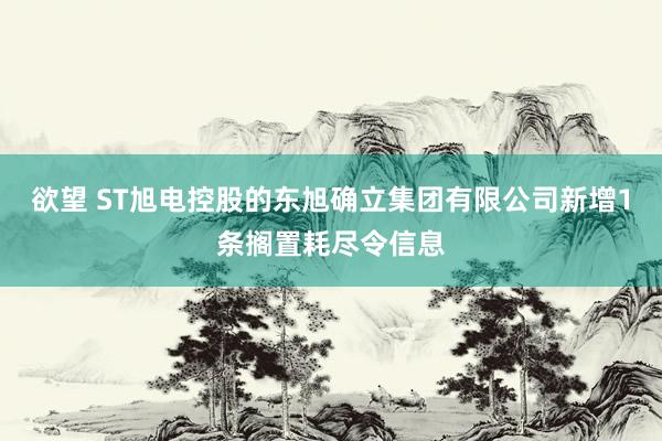 欲望 ST旭电控股的东旭确立集团有限公司新增1条搁置耗尽令信息