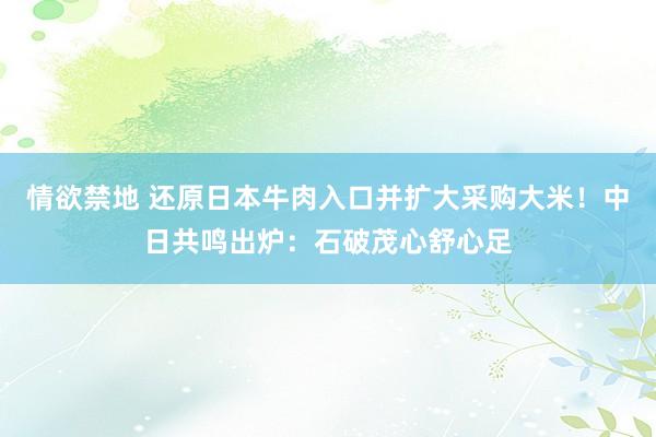 情欲禁地 还原日本牛肉入口并扩大采购大米！中日共鸣出炉：石破茂心舒心足