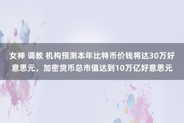 女神 调教 机构预测本年比特币价钱将达30万好意思元，加密货币总市值达到10万亿好意思元