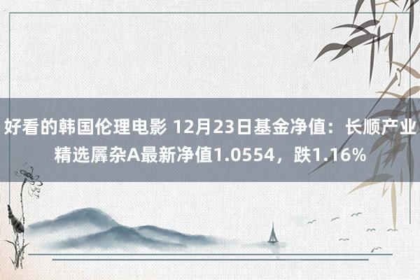 好看的韩国伦理电影 12月23日基金净值：长顺产业精选羼杂A最新净值1.0554，跌1.16%