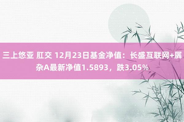 三上悠亚 肛交 12月23日基金净值：长盛互联网+羼杂A最新净值1.5893，跌3.05%
