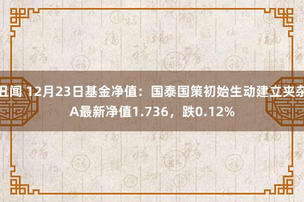 丑闻 12月23日基金净值：国泰国策初始生动建立夹杂A最新净值1.736，跌0.12%