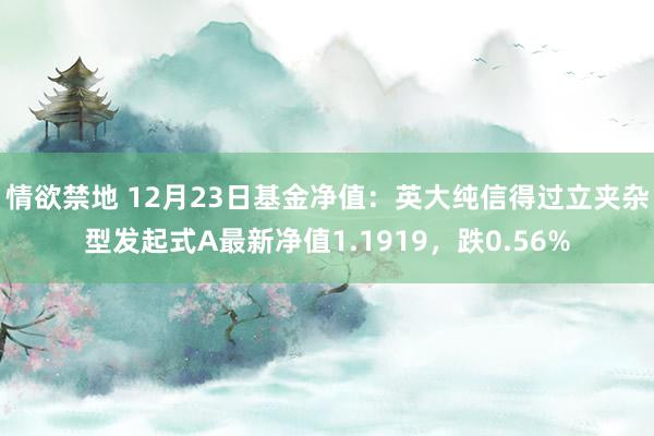 情欲禁地 12月23日基金净值：英大纯信得过立夹杂型发起式A最新净值1.1919，跌0.56%