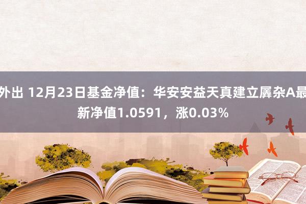 外出 12月23日基金净值：华安安益天真建立羼杂A最新净值1.0591，涨0.03%