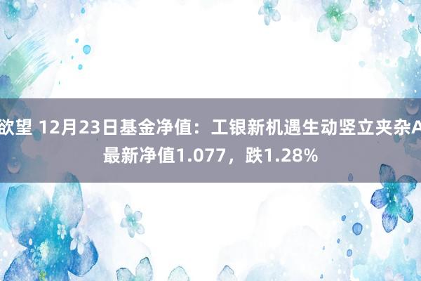 欲望 12月23日基金净值：工银新机遇生动竖立夹杂A最新净值1.077，跌1.28%