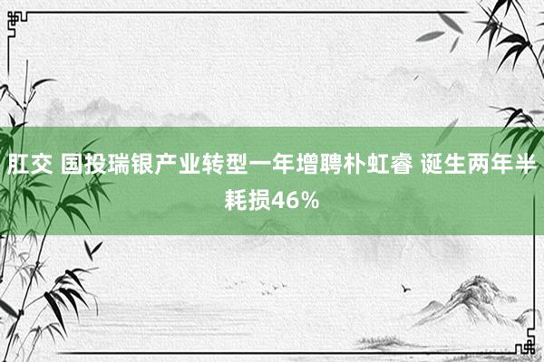 肛交 国投瑞银产业转型一年增聘朴虹睿 诞生两年半耗损46%
