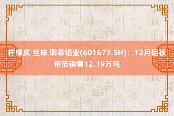 柠檬皮 丝袜 明泰铝业(601677.SH)：12月铝板带箔销售12.19万吨