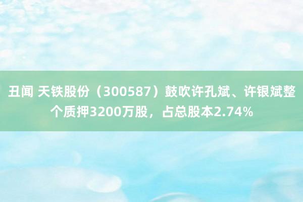 丑闻 天铁股份（300587）鼓吹许孔斌、许银斌整个质押3200万股，占总股本2.74%