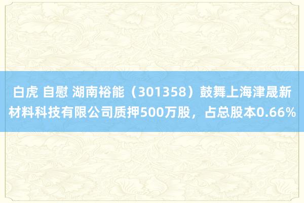 白虎 自慰 湖南裕能（301358）鼓舞上海津晟新材料科技有限公司质押500万股，占总股本0.66%
