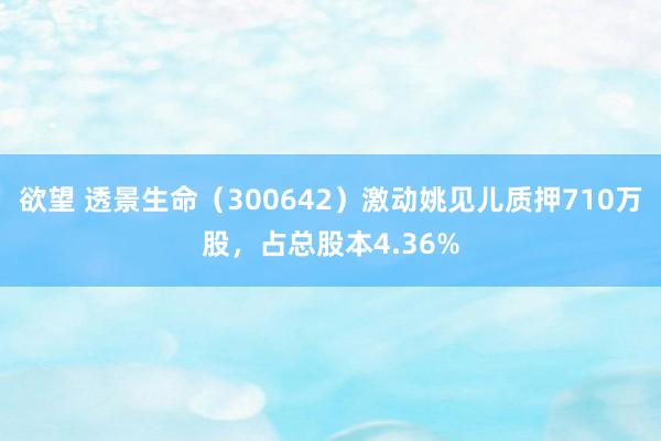 欲望 透景生命（300642）激动姚见儿质押710万股，占总股本4.36%
