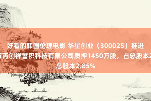 好看的韩国伦理电影 华星创业（300025）推进上海万芮创祥蓄积科技有限公司质押1450万股，占总股本2.85%