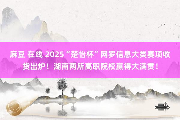 麻豆 在线 2025“楚怡杯”网罗信息大类赛项收货出炉！湖南两所高职院校赢得大满贯！