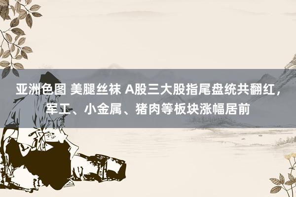亚洲色图 美腿丝袜 A股三大股指尾盘统共翻红，军工、小金属、猪肉等板块涨幅居前