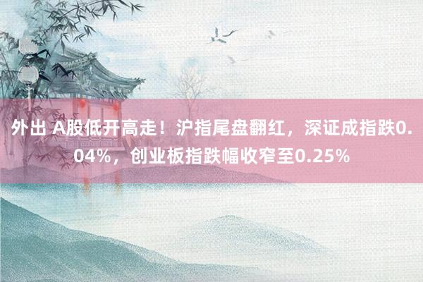 外出 A股低开高走！沪指尾盘翻红，深证成指跌0.04%，创业板指跌幅收窄至0.25%