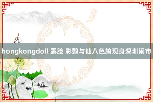 hongkongdoll 露脸 彩鹮与仙八色鸫现身深圳闹市