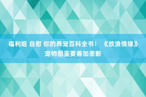 福利姬 自慰 你的养宠百科全书！ 《放浪情缘》宠物图鉴要善加垄断