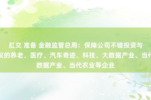 肛交 准备 金融监管总局：保障公司不错投资与保障业务磋议的养老、医疗、汽车奇迹、科技、大数据产业、当代农业等企业