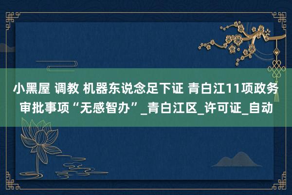 小黑屋 调教 机器东说念足下证 青白江11项政务审批事项“无感智办”_青白江区_许可证_自动