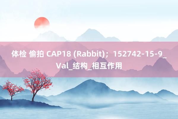 体检 偷拍 CAP18 (Rabbit)；152742-15-9_Val_结构_相互作用