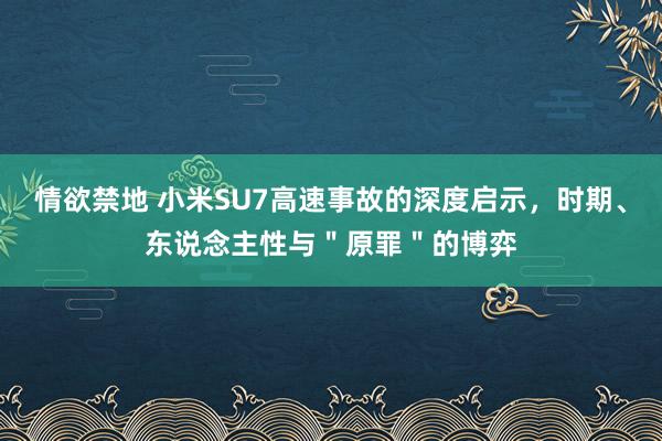 情欲禁地 小米SU7高速事故的深度启示，时期、东说念主性与＂原罪＂的博弈
