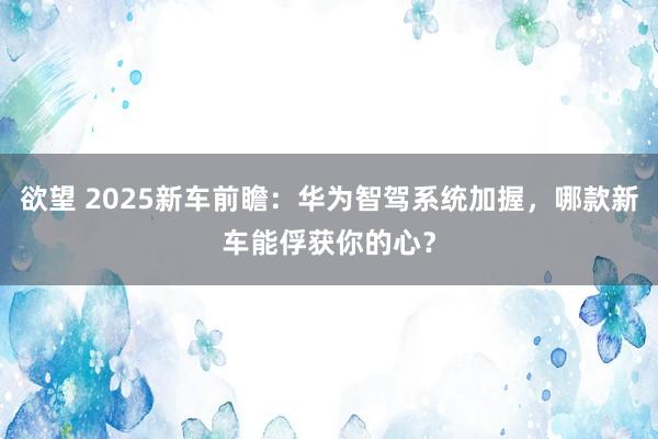 欲望 2025新车前瞻：华为智驾系统加握，哪款新车能俘获你的心？