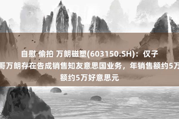 自慰 偷拍 万朗磁塑(603150.SH)：仅子公司墨西哥万朗存在告成销售知友意思国业务，年销售额约5万好意思元