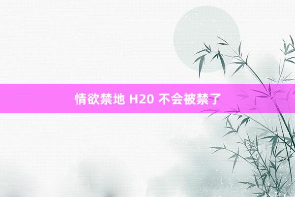 情欲禁地 H20 不会被禁了