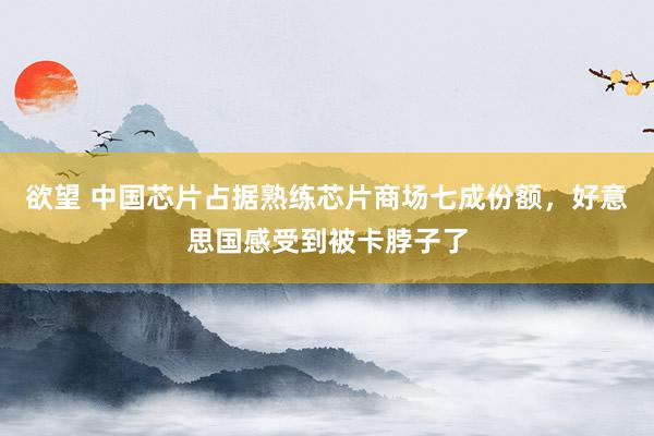 欲望 中国芯片占据熟练芯片商场七成份额，好意思国感受到被卡脖子了