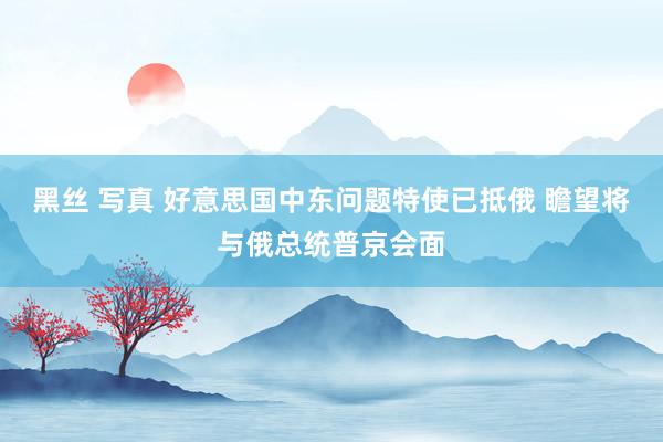 黑丝 写真 好意思国中东问题特使已抵俄 瞻望将与俄总统普京会面