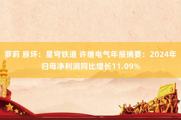 萝莉 崩坏：星穹铁道 许继电气年报摘要：2024年归母净利润同比增长11.09%